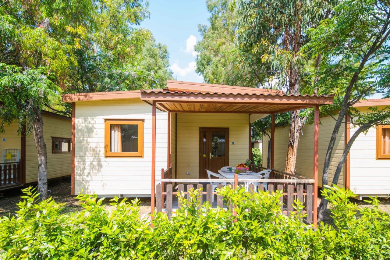 Camping Le Palme Marina Di Bibbona Εξωτερικό φωτογραφία